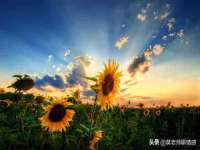 永州市隔远方计算机有限公司
