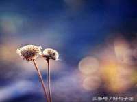 永州市隔远方计算机有限公司