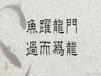 永州市隔远方计算机有限公司
