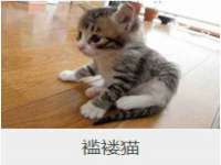 永州市隔远方计算机有限公司