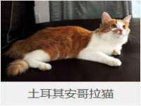 永州市隔远方计算机有限公司
