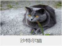 永州市隔远方计算机有限公司