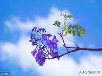 永州市隔远方计算机有限公司