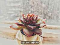 永州市隔远方计算机有限公司