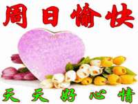 永州市隔远方计算机有限公司