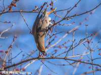永州市隔远方计算机有限公司