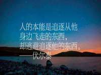 永州市隔远方计算机有限公司