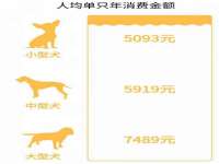永州市隔远方计算机有限公司