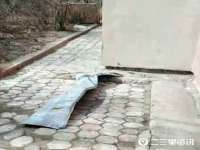 永州市隔远方计算机有限公司