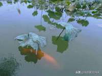 永州市隔远方计算机有限公司