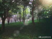 永州市隔远方计算机有限公司