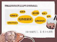 永州市隔远方计算机有限公司