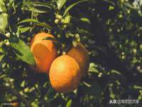 永州市隔远方计算机有限公司