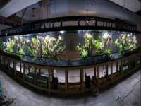 永州市隔远方计算机有限公司