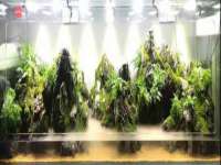 永州市隔远方计算机有限公司