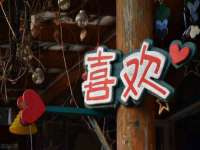 永州市隔远方计算机有限公司
