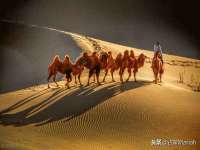 永州市隔远方计算机有限公司
