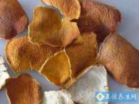 永州市隔远方计算机有限公司