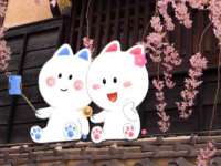 永州市隔远方计算机有限公司