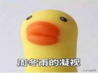 永州市隔远方计算机有限公司