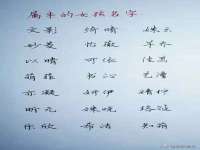 永州市隔远方计算机有限公司